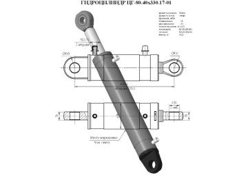 ЦГ-80.40х330.17-01