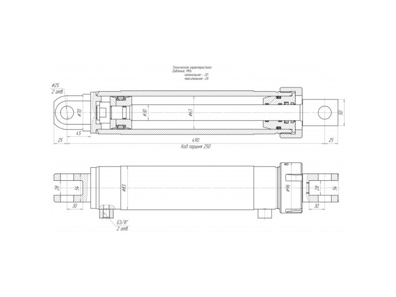 ЦГ-63.30х250.01
