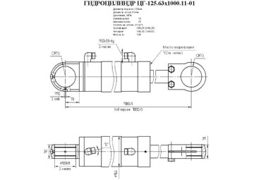 ЦГ-125.63х1000.11-01