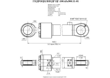 ЦГ-100.63х900.11-01