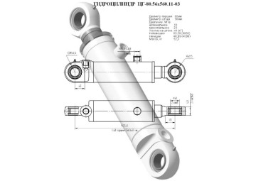 ЦГ-80.56х560.11-03