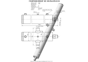 ЦГ-100.50х1250.33-01