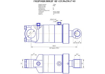 ЦГ-125.50.х250.17-03