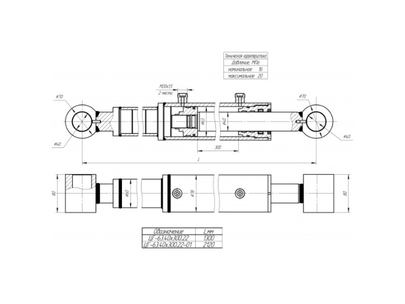 ЦГ-63.40х300.22