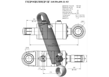 ЦГ-160.80х400.11-03