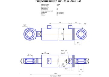 ЦГ-125.60х710.11-02