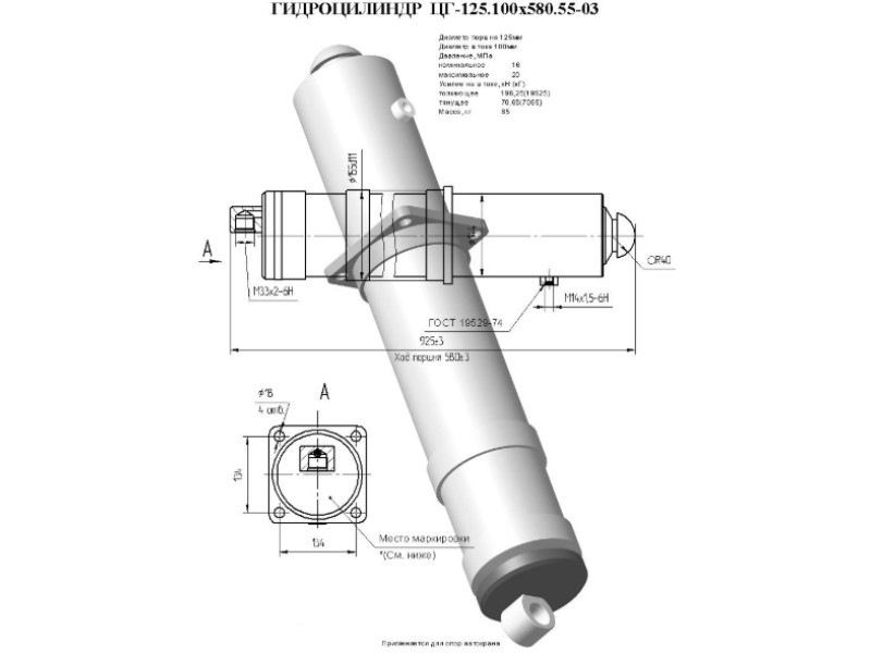 ЦГ-125.100х580.55-03