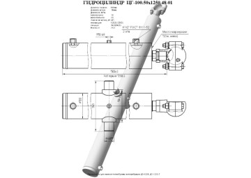 ЦГ-100.50х1250.48-01