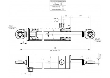 ЦГ-60.30х250.11