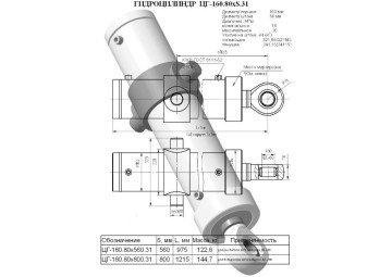 ЦГ-160.80х800.31