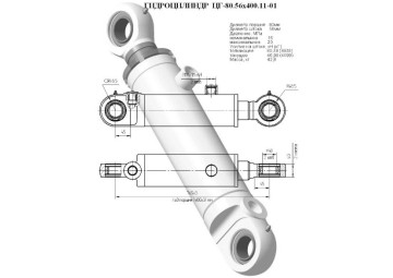 ЦГ-80.56х400.11-01