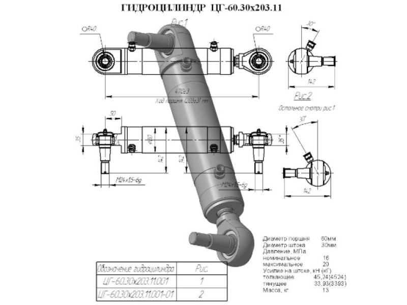 ЦГ-60.30х203.11.001